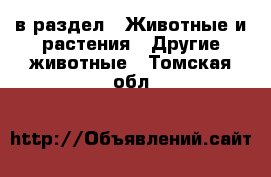  в раздел : Животные и растения » Другие животные . Томская обл.